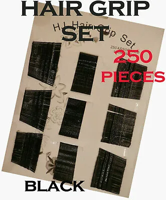 Hair Grips 250 In Packet Hairdressing Hair Slides Black Salon Clips Kirby Pins • £1.99