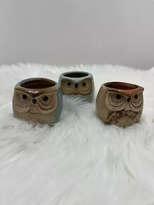 Owl Succulents Planters Pots Set Of 3  • $15