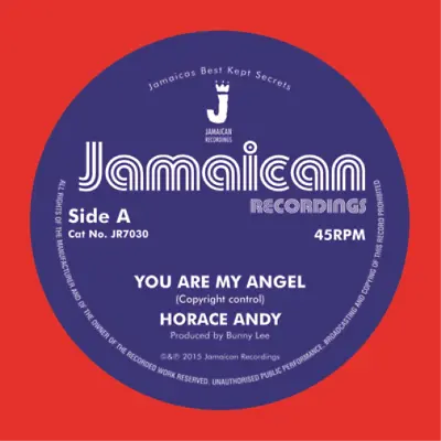 Horace Andy You Are My Angel (Vinyl) 7  Single • £11.91