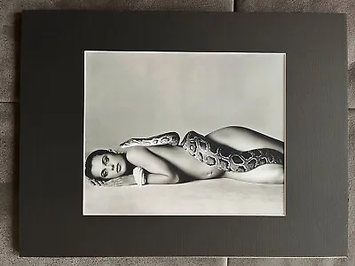 $165 • Buy 1981 Nastassja Kinski & Serpent, Richard Avedon Photo Print 8 X 10