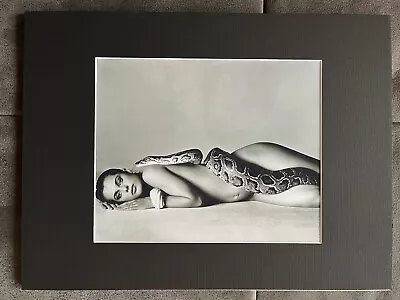 $165 • Buy 1981 Nastassja Kinski & Serpent, Richard Avedon Photo Print 8 X 10