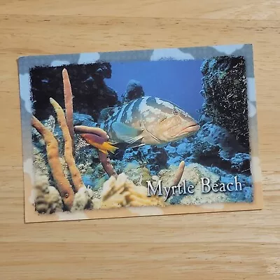 MYRTLE BEACH SOUTH CAROLINA GROUPER FISH POSTCARD Deep Sea Fishing Pawleys Boat • $4.99