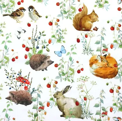 100% Cotton Fabric - In The Beginning Hedgehog Hollow Woodland Animals Fox • £4.80