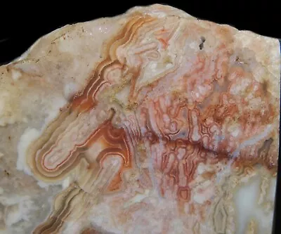 Banded Laguna Lace Tube Agate Lapidary Cabbing Rough Chunk Mexico 13 Oz • $25