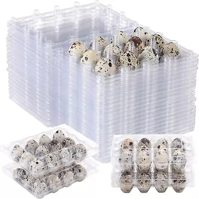 100 Pcs Quail Egg Cartons 12 Cell (3x4)   Secure Snap Close Fast Shipping • $24.99