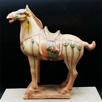 Chinese Tang Tri-Color Glazed Ceramics White War Horse Porcelain Statue Z81229 • £28.79