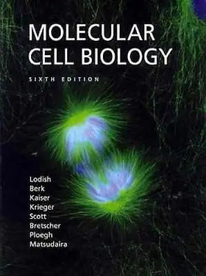 Molecular Cell Biology By Harvey Lodish: Used • $15.99