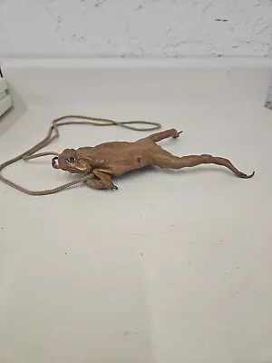 Vintage Real Frog Body Coin Purse With Strap. GX6 • $50