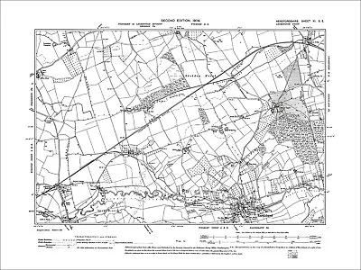 Eardisland Old Map Herefordshire 1905: 11SE • £18.99