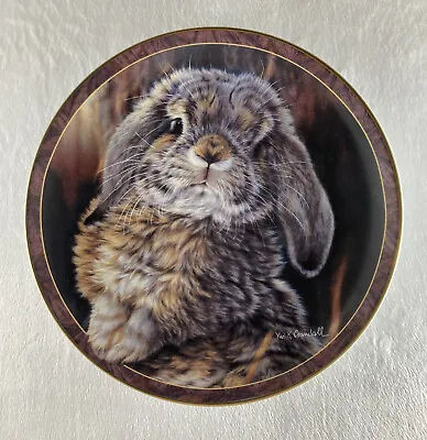 I'M ALL EARS Plate Bunny Tales Vivi Crandall #2 Rabbit Bradford Exchange Lovely! • $19.95