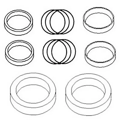 835833M92 Hydraulic Cylinder Seal Kit Fits Massey Ferguson Loader Lift • $52.99