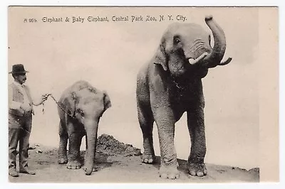 Central Park Zoo N.Y. City Elephant & Baby Elephant • $1