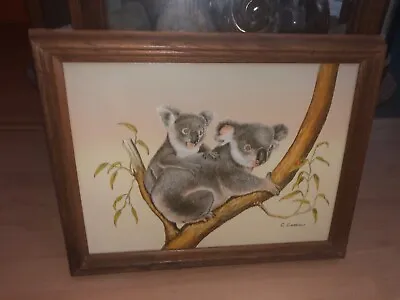 Vintage Original C. Carson Koala Bear Painting Wildlife Art • $29.99