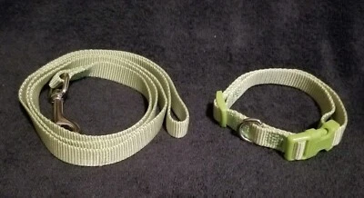 Zack & Zoey Parrot Green ⅝  W Nylon Dog Collar For Necks 10-16  With 4' Leash • $14