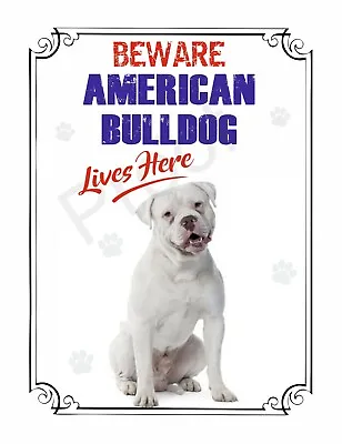 £5.95 • Buy BEWARE AMERICAN BULLDOG LIVES HERE  #sD35 SIGN 8 X 6  DOG METAL WARNING 