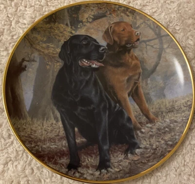 £15 • Buy Decorative Labrador Plate - Lifelong Companions By Nigel Hemming