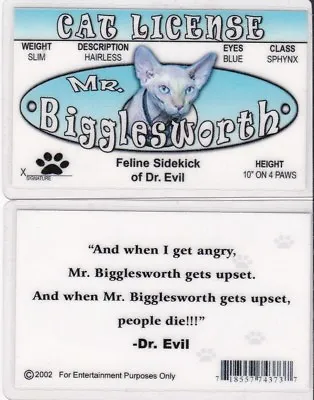 Fun Mr Bigglesworth Feline Sidekick Cat Of Austin Powers Mike Myers I.d. Card • $6.97