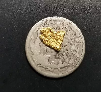 Gold Nugget Southern California Mojave Desert - .20 Grams - Invest!! Gold!! • $22.50