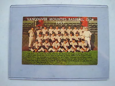 Rare 1957 Vancouver Mounties Pcl Baseball Club Postcard Team Photo Card Nice • $89.99