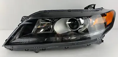 2013-2015 Honda Accord Sedan Left Driver Side Halogen W/LED Chrome Headlight OEM • $134.99