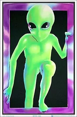 Alien Visitor Laminated Blacklight Poster - 23.5  X 35.5  • $31.60