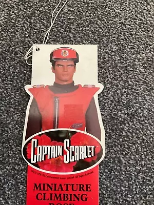 Captain Scarlet . Vintage 1996 Rose Bush Label • £6.99
