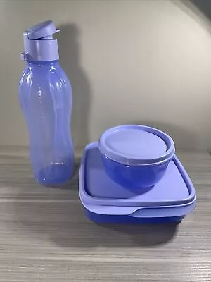 New! Tupperware Lunch-it Container Set Blueberry 550ml/18oz W/ Water Bottle Bowl • $20.84