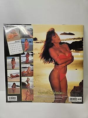 Sealed Vintage 1996 Skin Deep Wall Calendar Swimsuit Calendar Pinup Factory Seal • $15.99