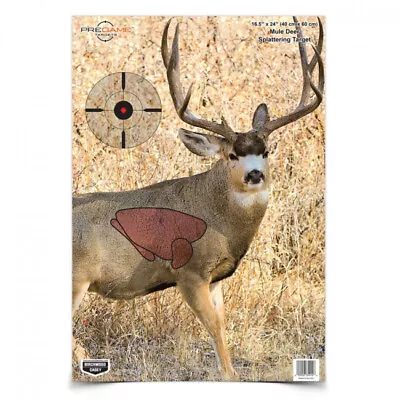 Pregame 16.5  X 24  Whitetail Deer Target BC35402 • $37.99