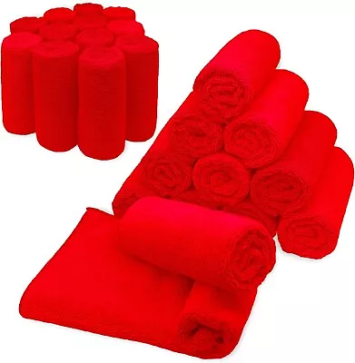 Microfiber Cleaning Cloth Set Of 24 Towel Rag Car Polishing Detailing No-Scratch • $23.87