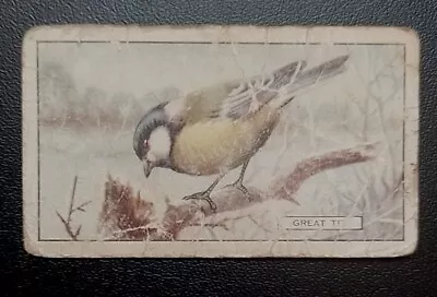 Gallaher Ltd. British Birds No.11: Great Tit. • £1.99