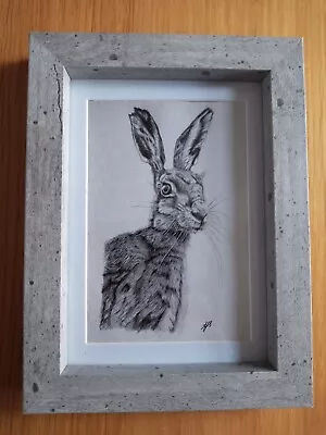 £0.99 • Buy HARE 6 X 4  Drawing Unframed Matt Photo Print Picture Love Gift Animal 