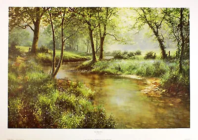 David Dipnall  Bluebell Walk  English Landscape Sunlight Green Fine Art Print • £24.99