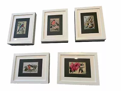 J&J Cash Ltd Coventry Set Of 5 Framed Woven Silk Bird Pictures • £75