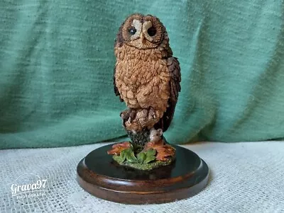 Country Artists CA724 Tawny Owl 10 Cm Figurine Ornament • £18