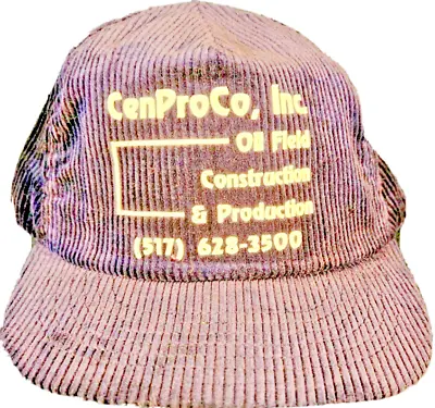 Vintage Royal Bule Velvet Style Ribbed Material Design Company Logo Snapback Hat • $21.95
