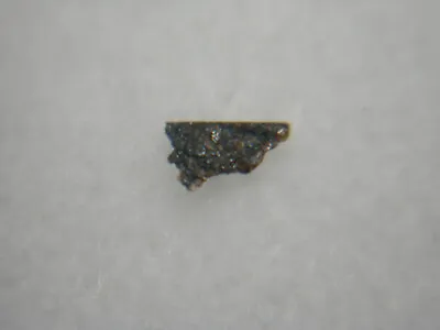 NWA 2999 ANGRITE Genuine METEORITE Rare Achondrite Planet Mercury SPACE IMCA A • $74.99