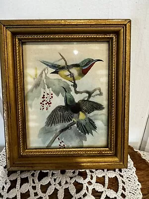 Beautiful Vintage Mid Century Framed Bird Print 6.5 X5.5  • $45.70