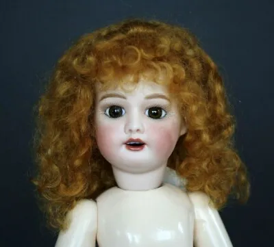 Antique Repo BJD & More Mohair  Marianne  Wig Sizes 5-6 7-89-1011-1213-14 • $35