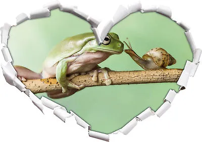 The Frog And The Snail - 3D Look Heart Wall Tattoo Sticker Sticker • £17.20