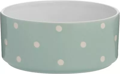 Mason Cash Polka Dot Sage Green 18cm Dog Bowl • £8.45