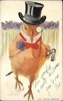 Easter Fantasy Chick Monocle Top Hat  Young Broiler  C1910 Vintage Postcard • $8.29