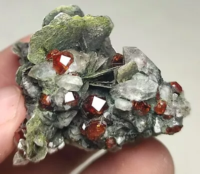 Spessartine Garnet Gemmy Crystals On Matrix Muscovite Combined With Quartz-Pak. • $80
