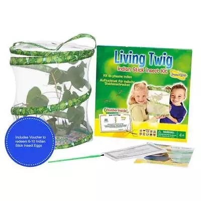 £20.09 • Buy Insect Lore Indian Stick Insect Kit Living Twig With Voucher Included Ages 4+