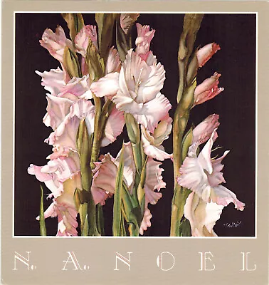 N.A. Noel  Pinks   Gladiolus • $24.95