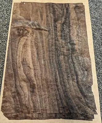 Walnut Burl Wood Veneer 8'' X 13  Raw No Backing 1/42  Thickness A Grade Thick • $30