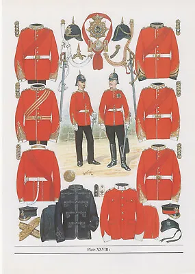 Vintage British Uniform Print 1881 - 1894 Infantry Of The Line Officers • £27