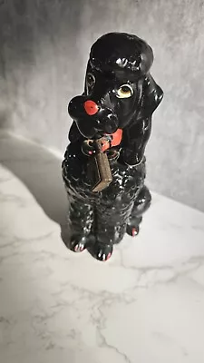 Collectible Vintage Marston Ceramic 1950s Black Poodle Dog Piggy Bank With Lock • $34