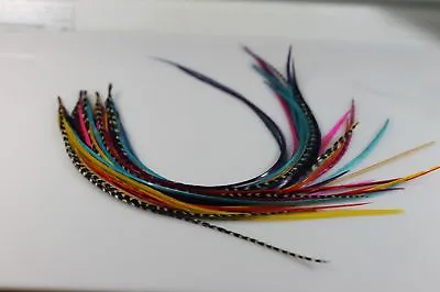 7-10 In Length 8 Beautiful Happy Rainbow Mix Feathers Bonded At The Tip For Hair • $15.99