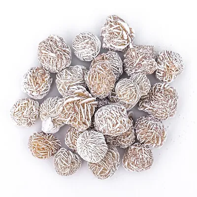 $24.99 • Buy 1 Lb Small Desert Rose Sand Selenite Gypsum Rose Gemstone Crystals Bulk Gem Rock